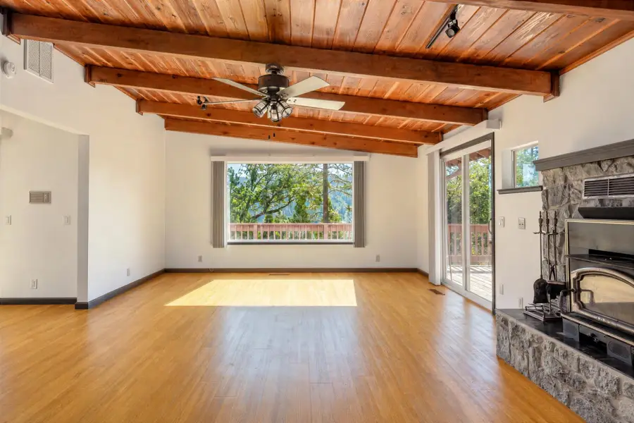 16534 Alpine Lane, Pioneer, CA 95666 - #3