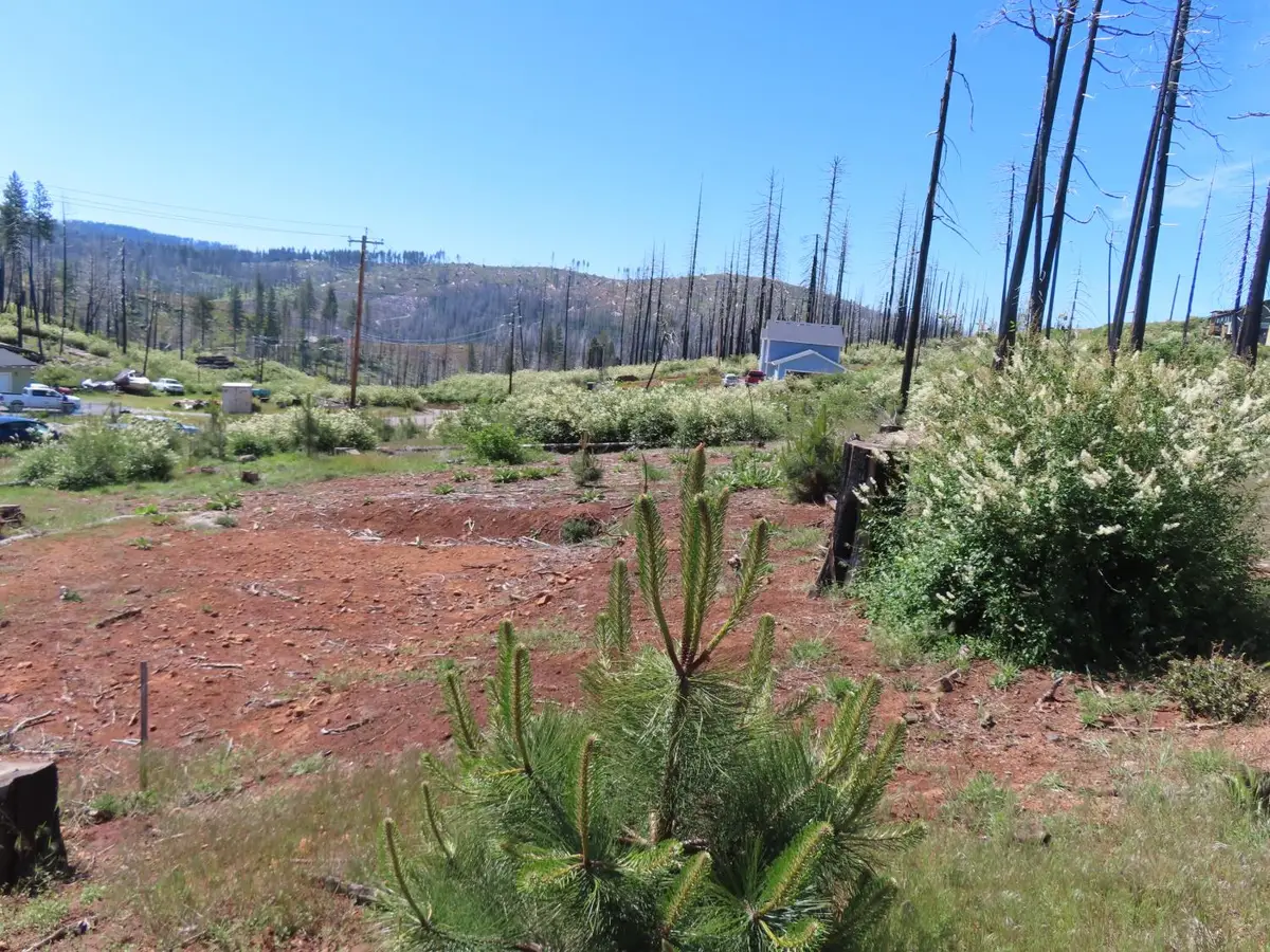 7130 Winding Way, Grizzly Flats, CA 95636 - #1