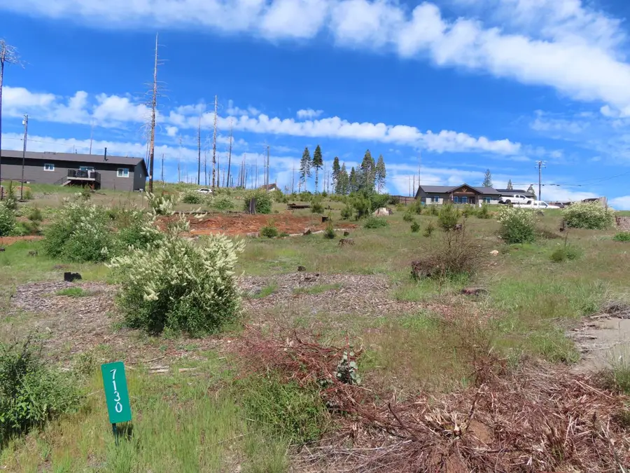 7130 Winding Way, Grizzly Flats, CA 95636 - #2