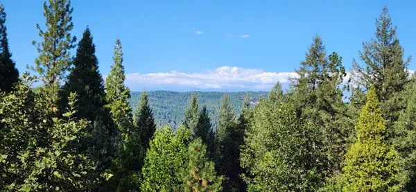 20392 Madrone Springs, Nevada City, CA 95959