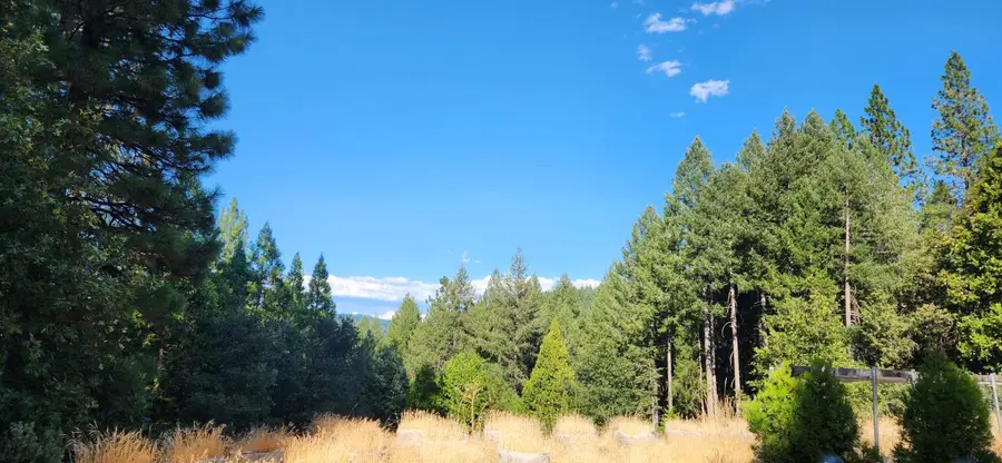 20392 Madrone Springs, Nevada City, CA 95959 - #2