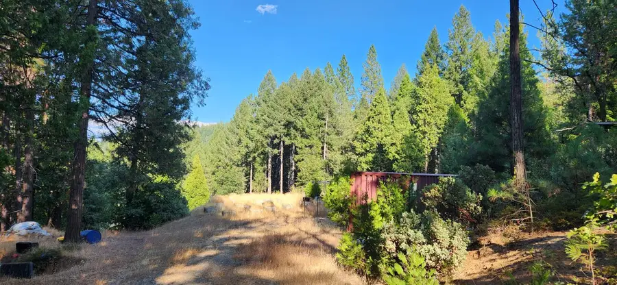 20392 Madrone Springs, Nevada City, CA 95959 - #3