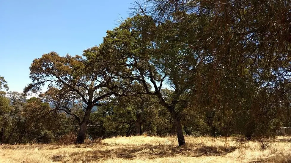 2 Crystal Boulevard, El Dorado, CA 95623 - #1