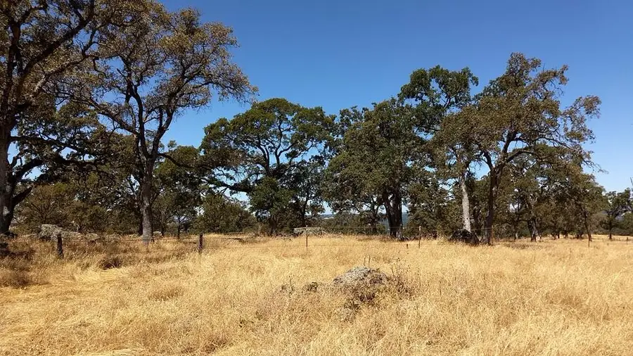 2 Crystal Boulevard, El Dorado, CA 95623 - #3