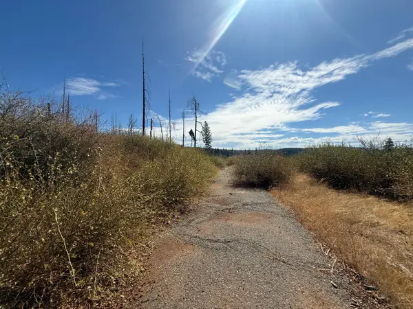 7329 South View Drive, Grizzly Flats, CA 95636
