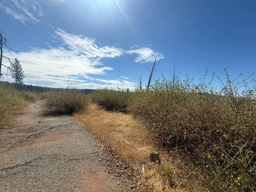 7329 South View Drive, Grizzly Flats, CA 95636 - #2