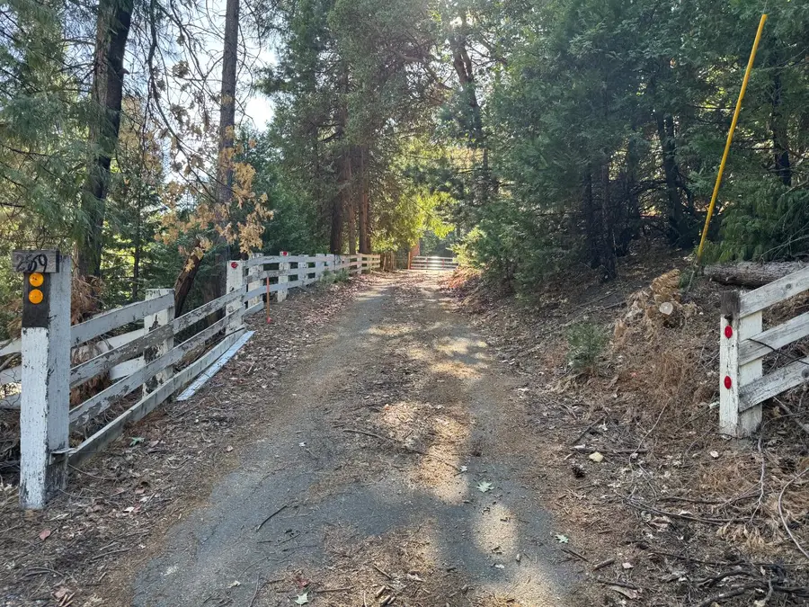 25699 Creekside Drive, Pioneer, CA 95666 - #2