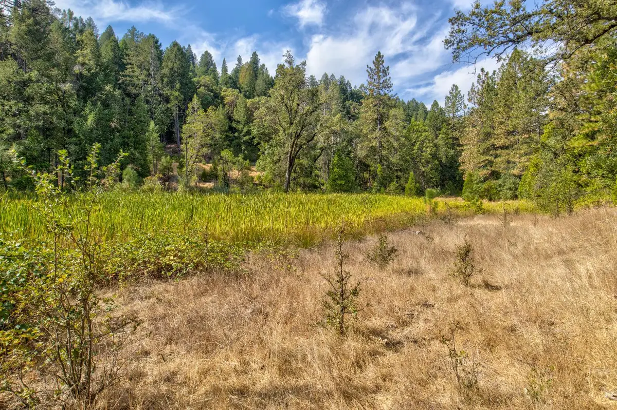 26835 State Highway 88, Pioneer, CA 95666 - #1