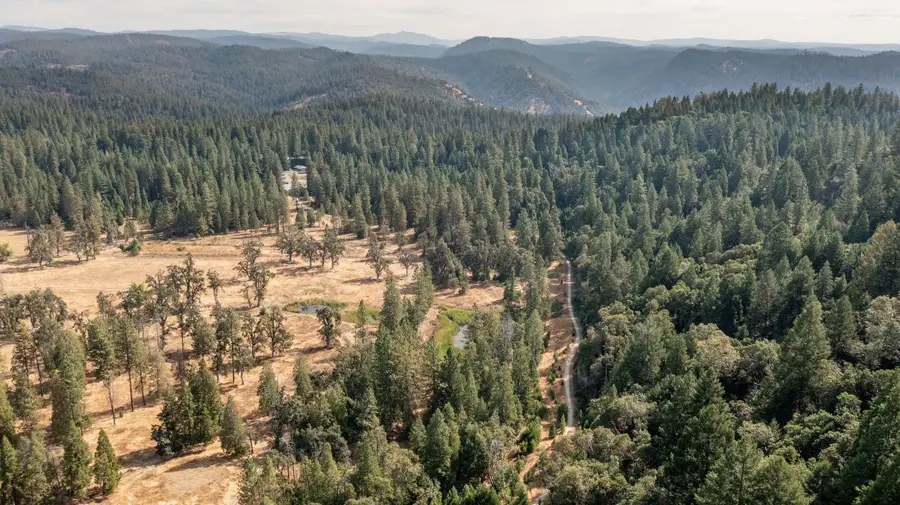 26835 State Highway 88, Pioneer, CA 95666 - #2
