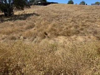 3487 Huckleberry Lane, Valley Springs, CA 95252 - #3