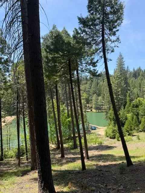468 Mauna Kea Drive, Arnold, CA 95223 - #3