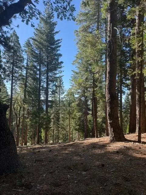 5186 Meko, Camp Connell, CA 95223 - #1