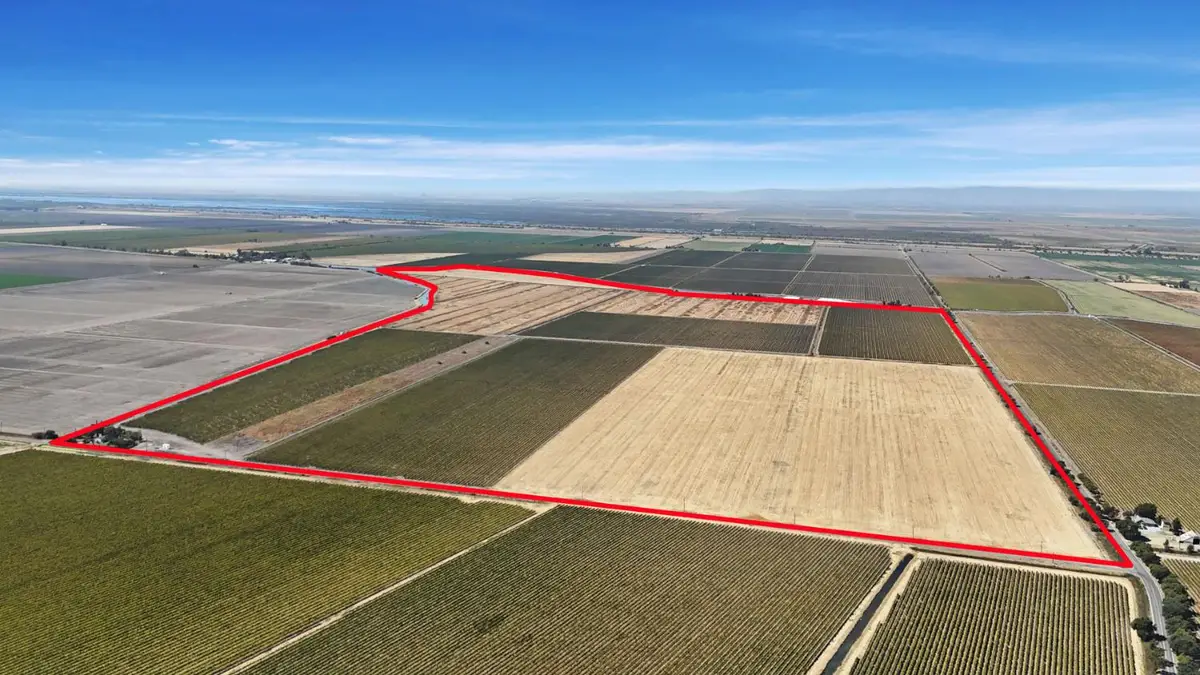41450 Morse Road, Clarksburg, CA 95612 - #1