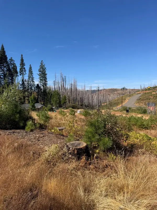 5124 Golden Aspen, Grizzly Flats, CA 95636