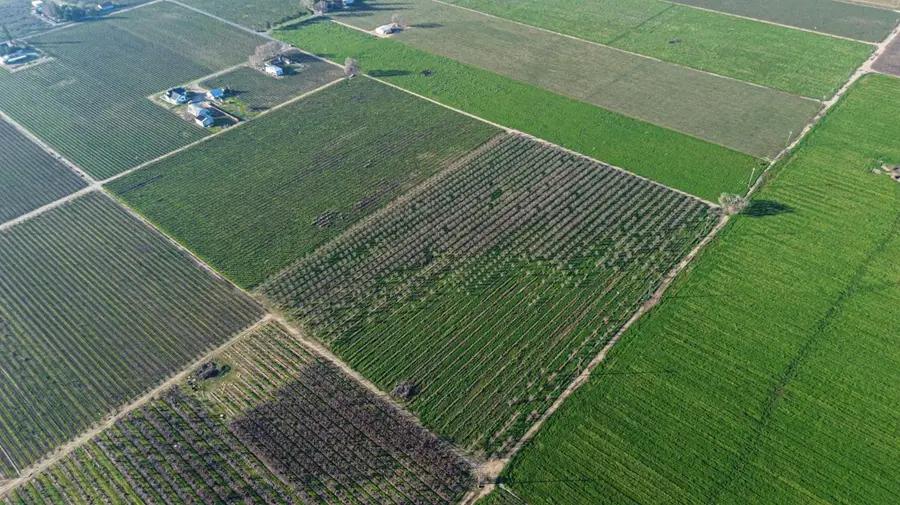 15910 N Locust Tree Road, Lodi, CA 95240 - #3