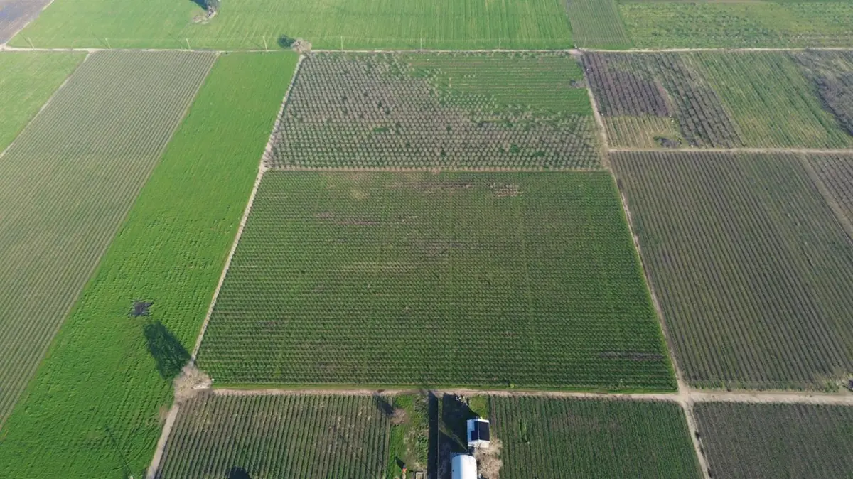 15910 Locust Tree Road, Lodi, CA 95240 - #1