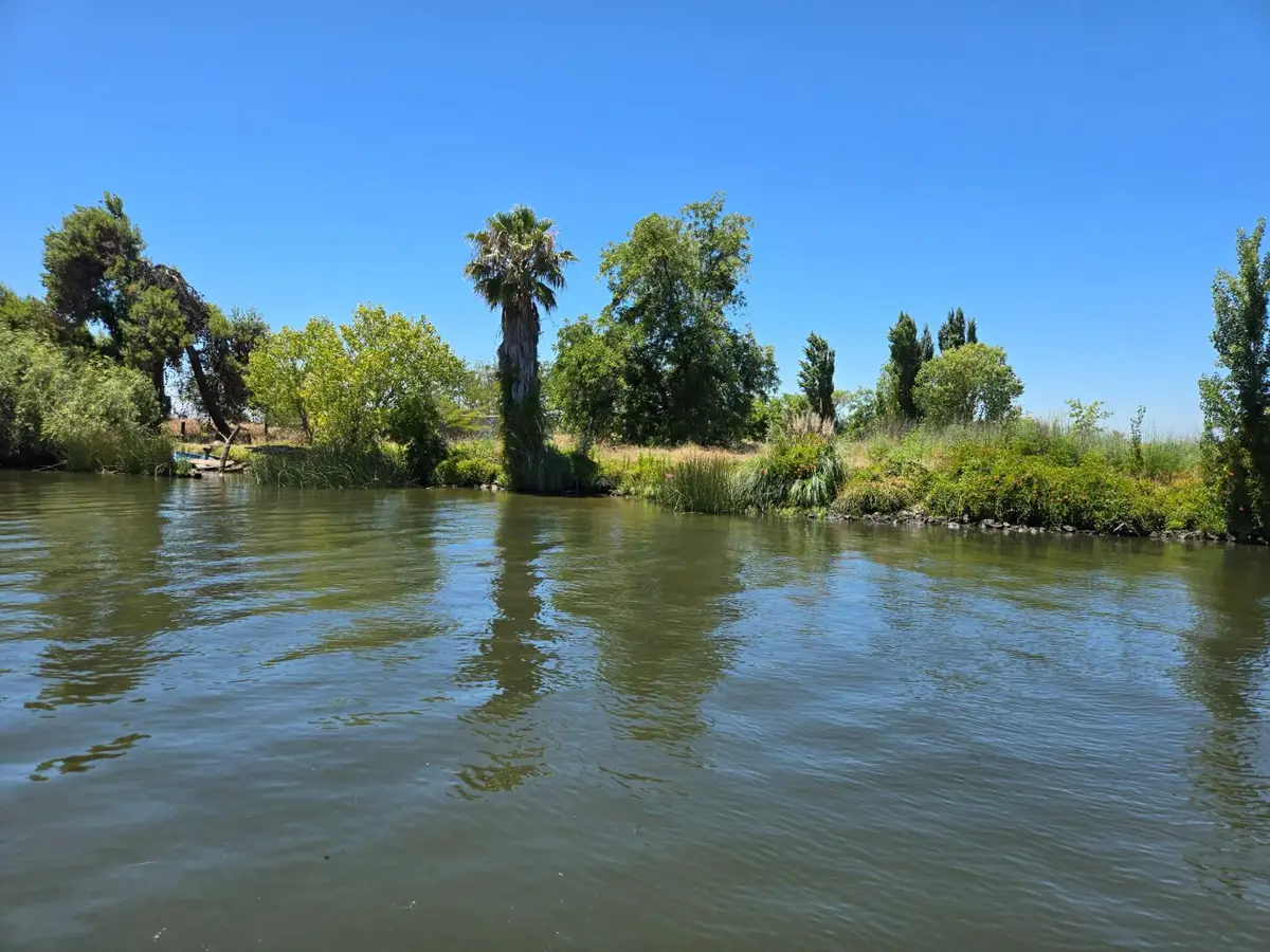 999511 W Rindge Road, Stockton, CA 95206 - #1