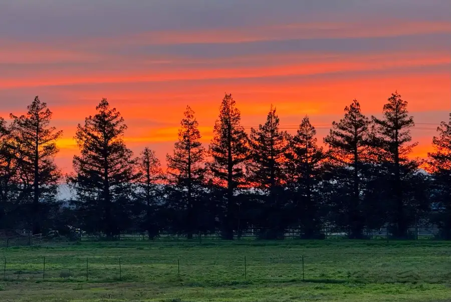 2829 W Armstrong Road, Lodi, CA 95242 - #2