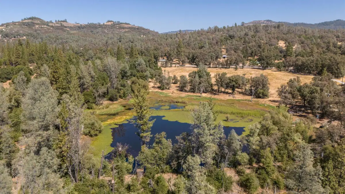9040 Sheep Ranch Road, Mountain Ranch, CA 95246 - #1