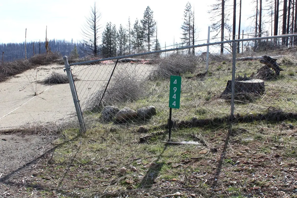 4944 Deerwood Drive, Grizzly Flats, CA 95636 - #1