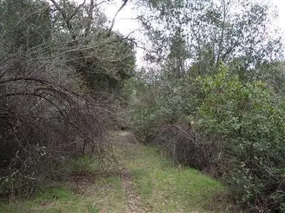 3701 Starburst Lane, Placerville, CA 95667