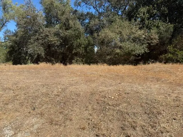 162 Goldenwest Court, Valley Springs, CA 95252 - #1