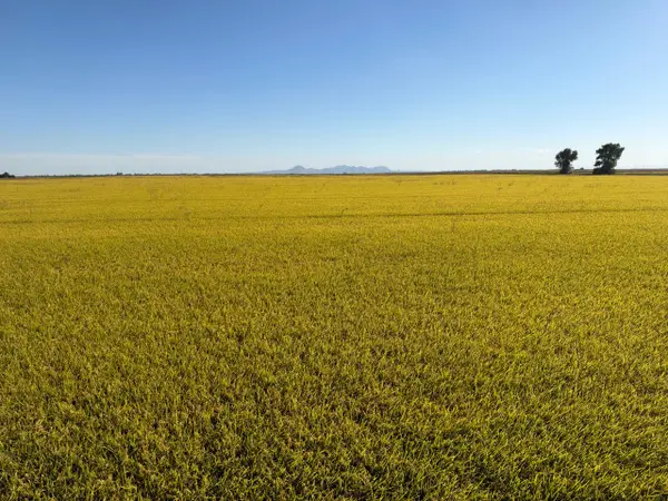 0 Lofgren Road, Richvale, CA 95974