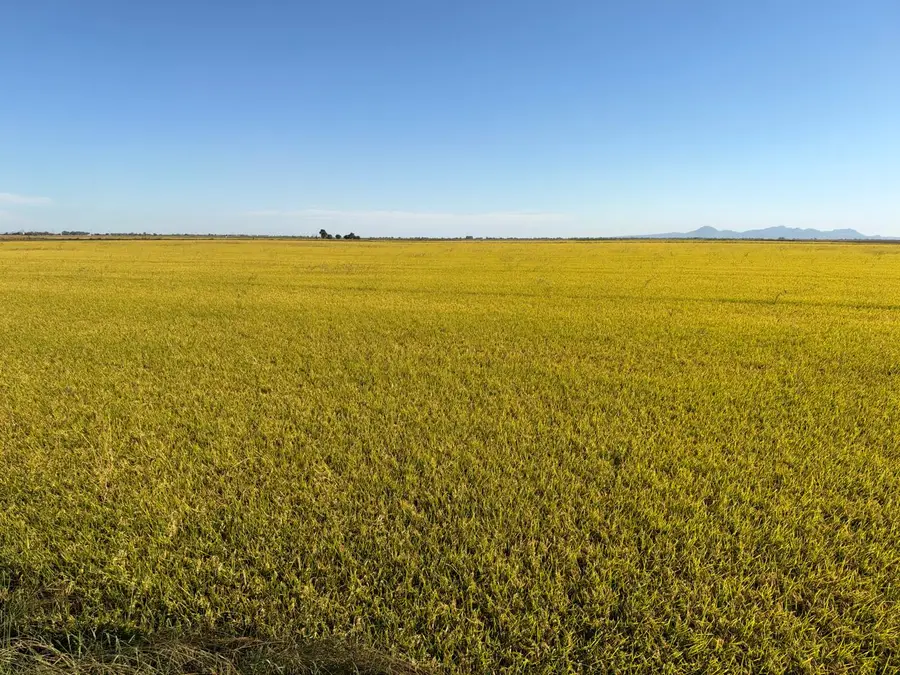 0 Lofgren Road, Richvale, CA 95974 - #2