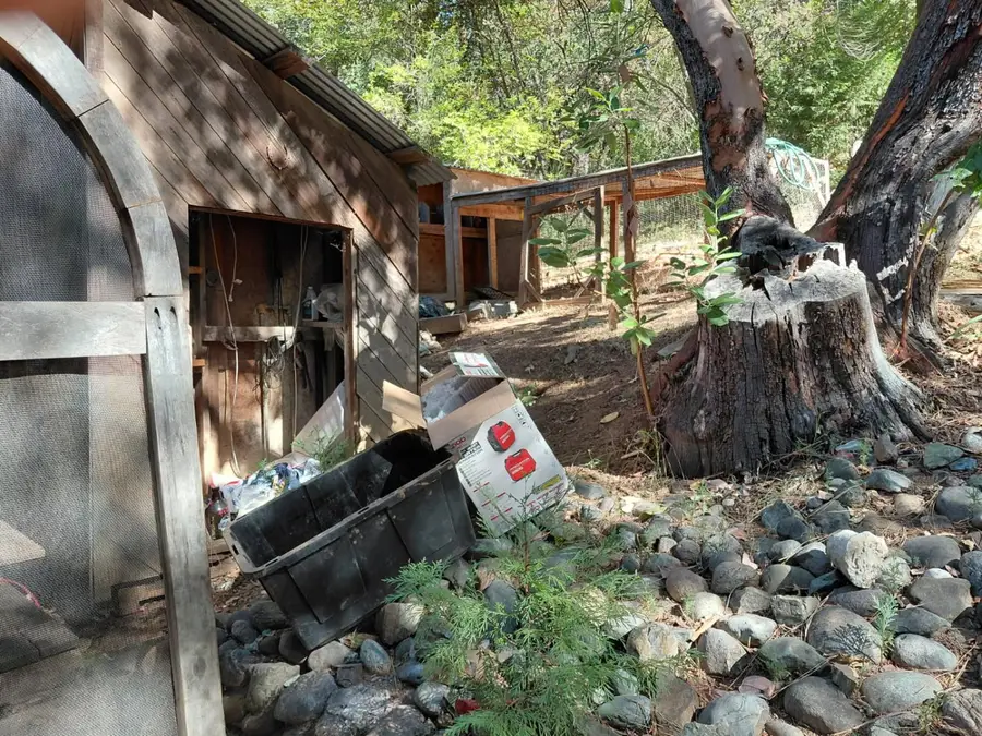 10871 Tobacco Road, Nevada City, CA 95959 - #3
