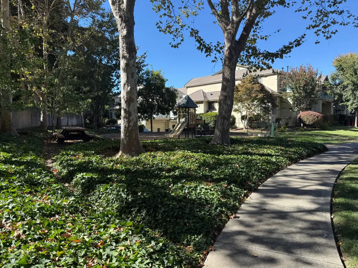 322 Borel Lane, Danville, CA 94526 - #1