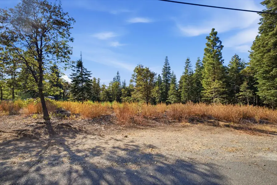 39445 Kearsarge Mill Road, Alta, CA 95701 - #3