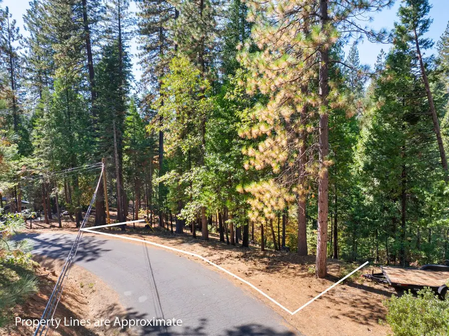2785 Murphys Drive, Arnold, CA 95223 - #2