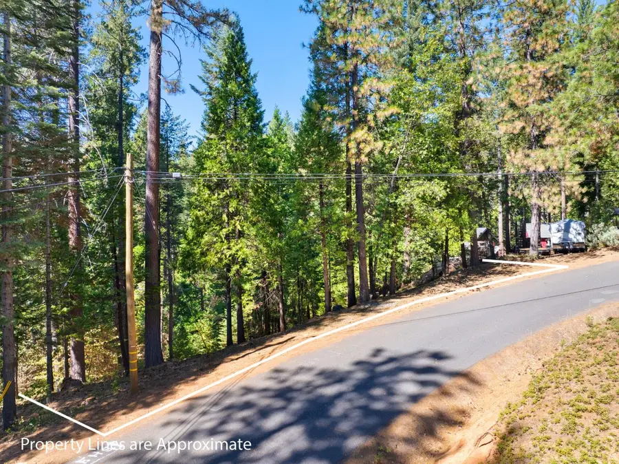 2785 Murphys Drive, Arnold, CA 95223 - #3