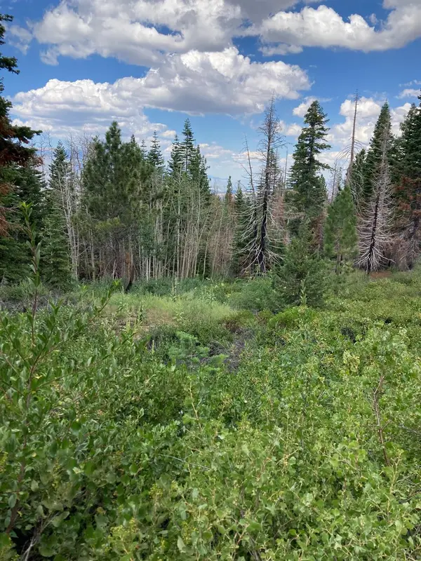 0 Poor Boy Road, Markleeville, CA 96120