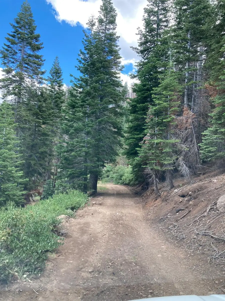 0 Poor Boy Road, Markleeville, CA 96120 - #3