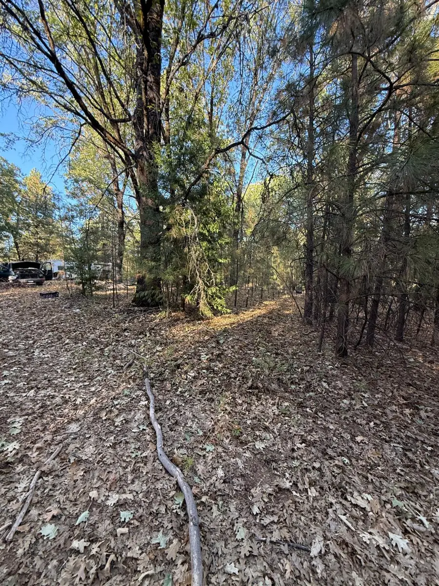 1740 Jurs Road, West Point, CA 95255 - #3