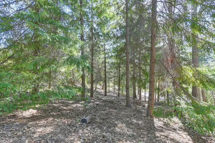 4630 Rosarno, Foresthill, CA 95631 - #3