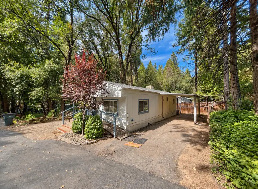 20371 Hwy 88, Pine Grove, CA 95665 - #2