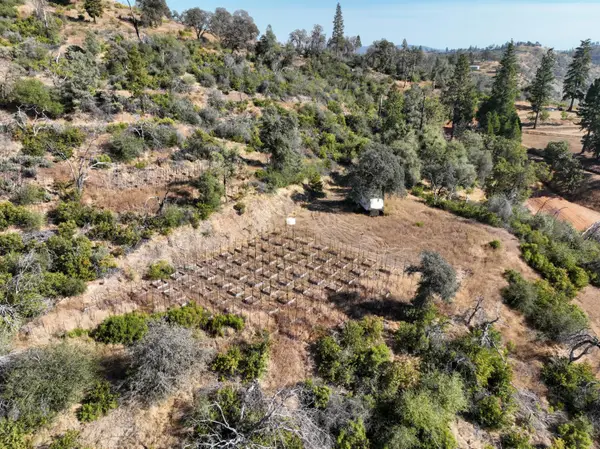 0 Canyon Creek, Berry Creek, CA 95916