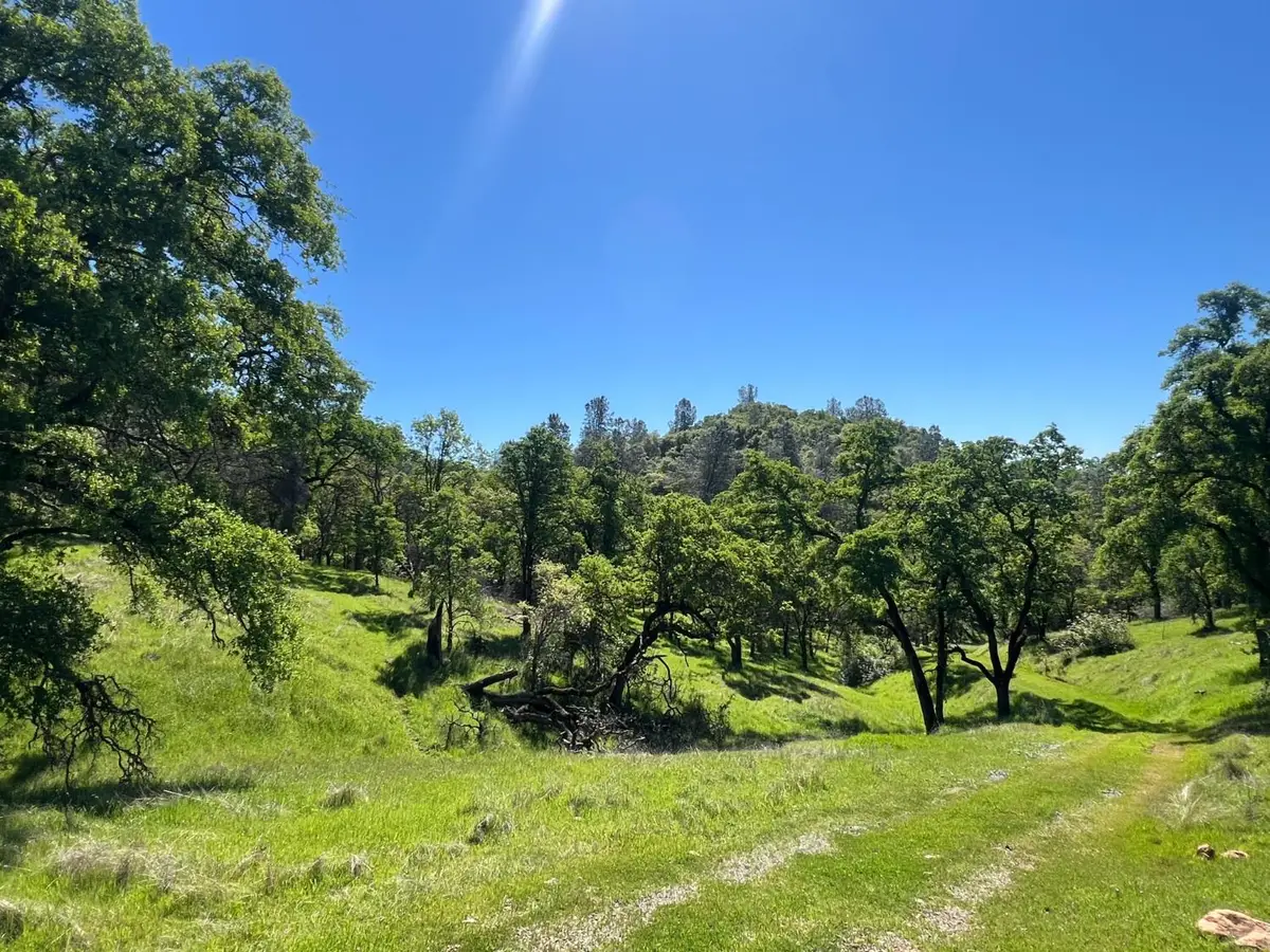 11185 Peoria Road, Browns Valley, CA 95918 - #1