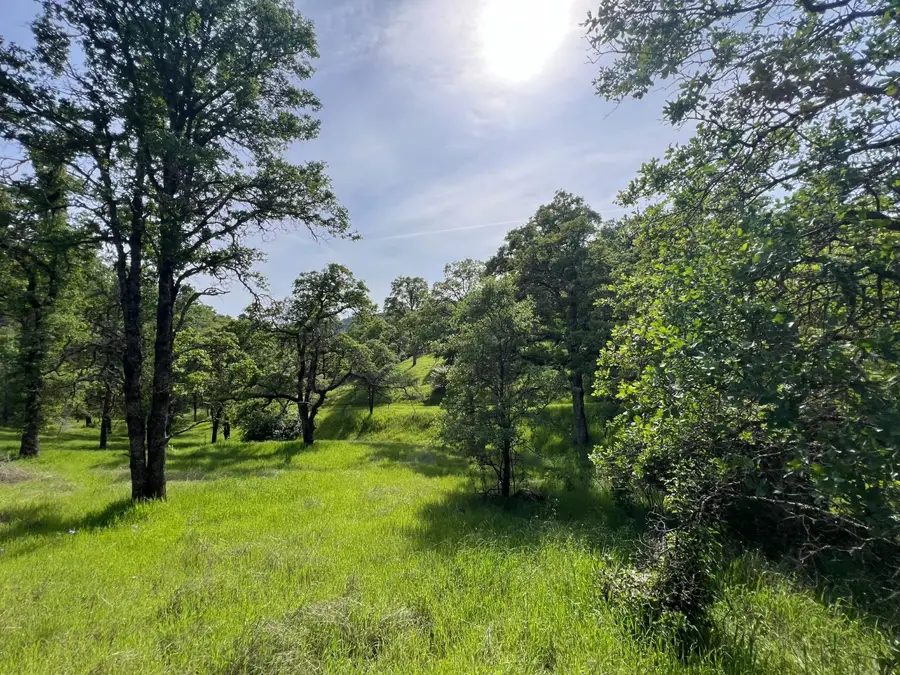 11185 Peoria Road, Browns Valley, CA 95918 - #3