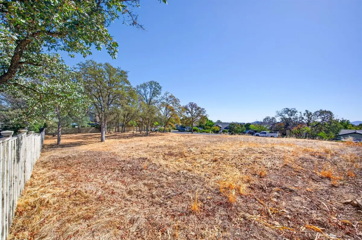 567 Live Oak Drive, Angels Camp, CA 95222 - #1