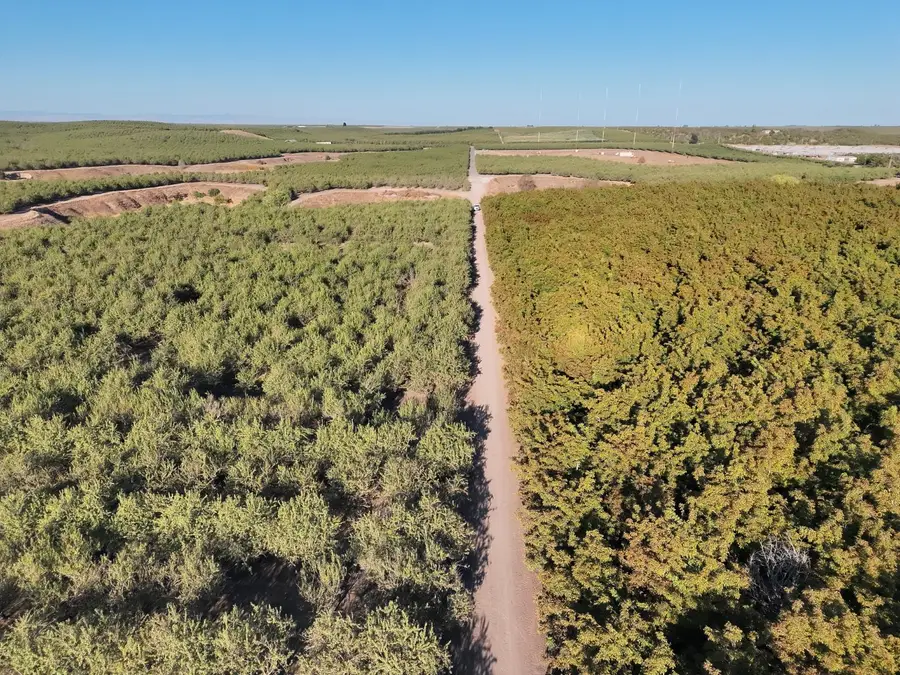 14540 Claribel Road, Waterford, CA 95386 - #3