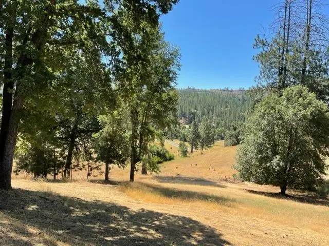 5200 Loma Serena Road, Mountain Ranch, CA 95246 - #3