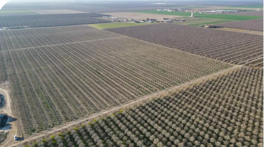 17015 Leonard Avenue, Wasco, CA 93280 - #3