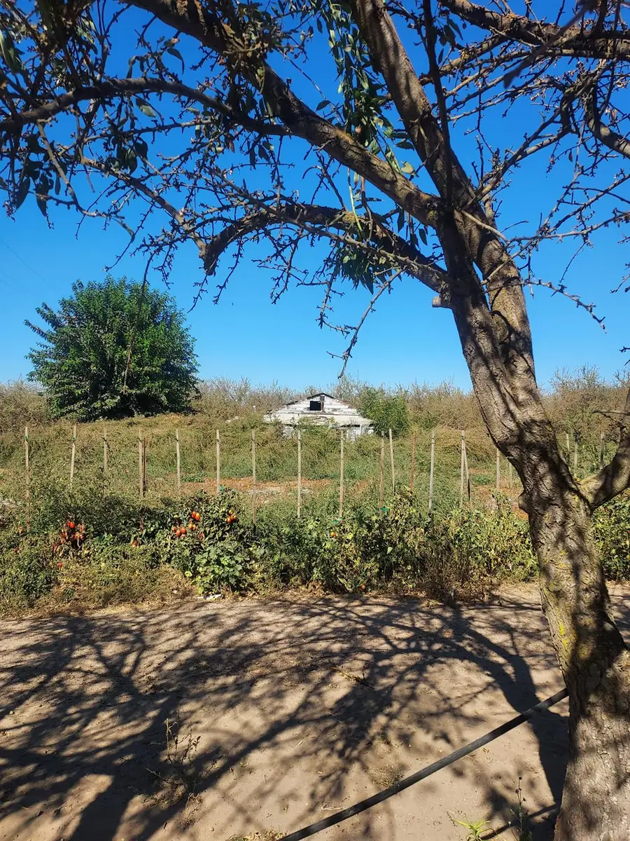 2266 N Hart Road, Modesto, CA 95358 - #3