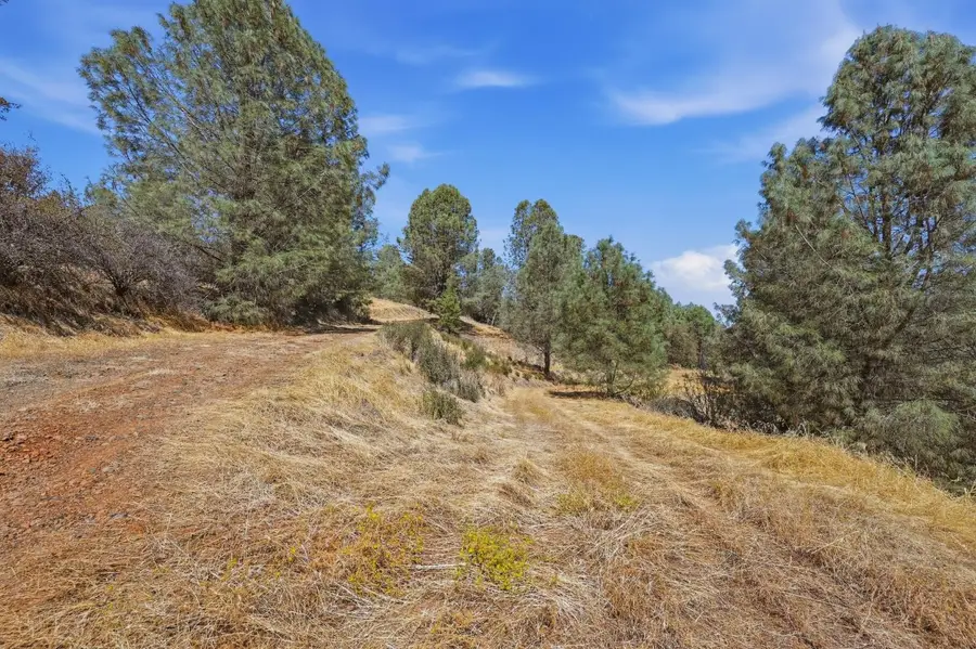 12333 Angel Wing Lane, Smartsville, CA 95977 - #3