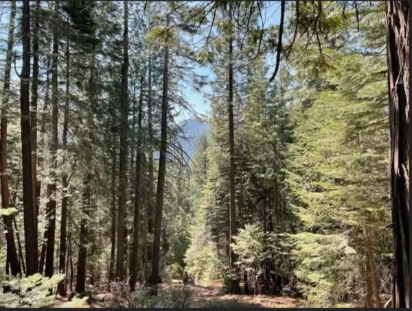 12664 Last Chance Mine Road, Nevada City, CA 95959
