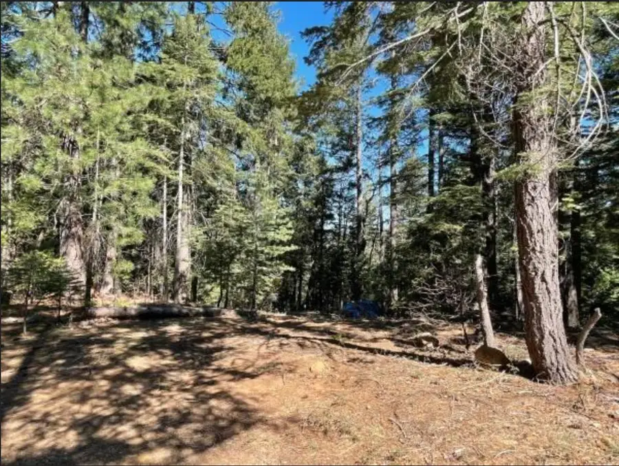 12664 Last Chance Mine Road, Nevada City, CA 95959 - #2