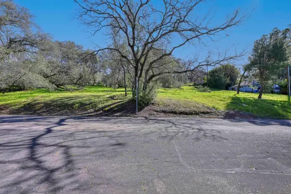 293 Leidesdorf Street, Folsom, CA 95630
